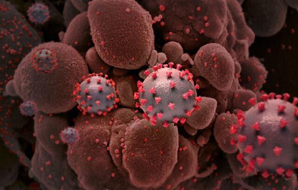 107 مورد نو ابتلا به کرونا ویروس در ایلام